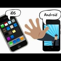 Портфолио Sabella Smith